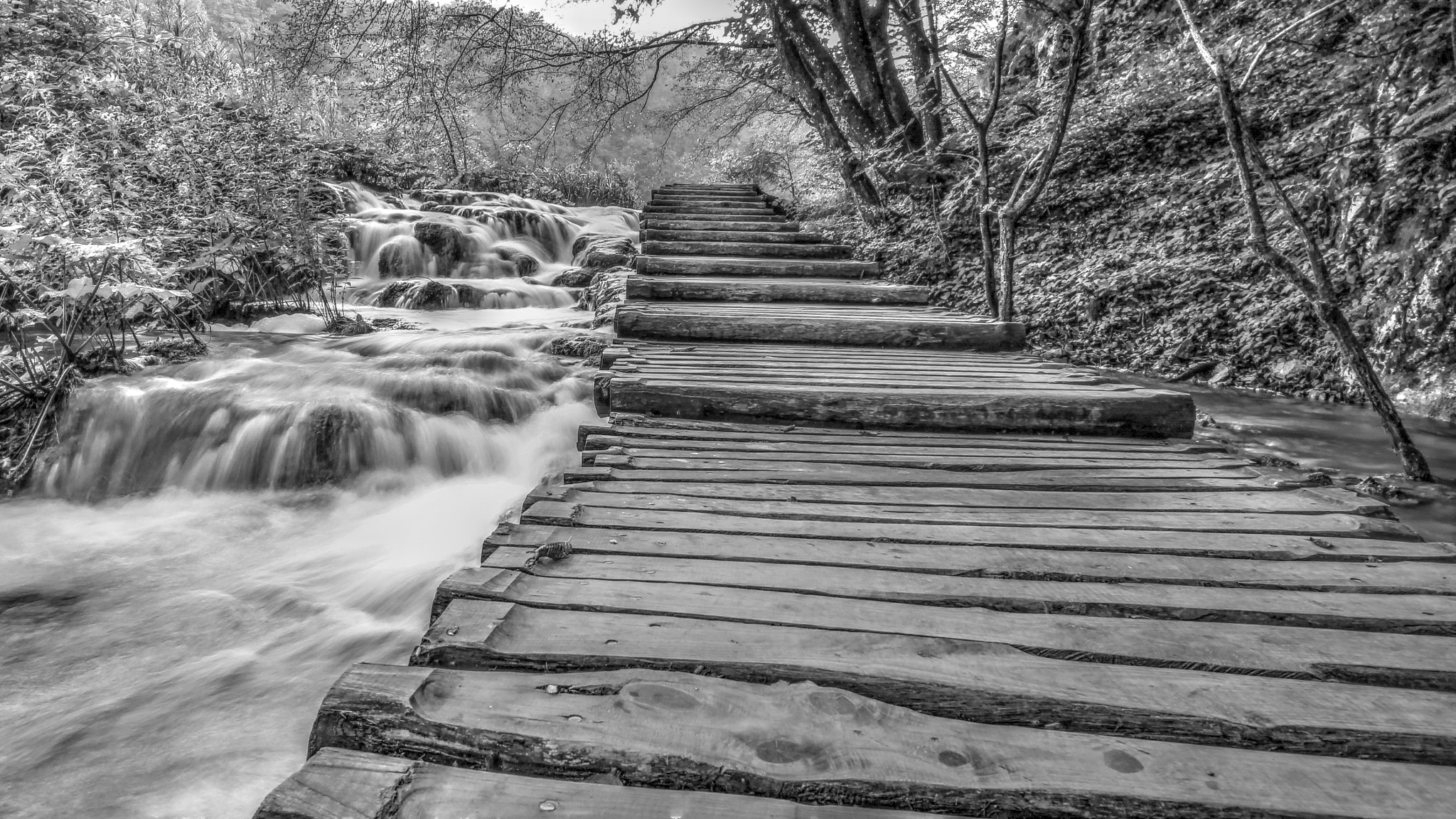Canon EOS 600D (Rebel EOS T3i / EOS Kiss X5) sample photo. Plitvice bw photography