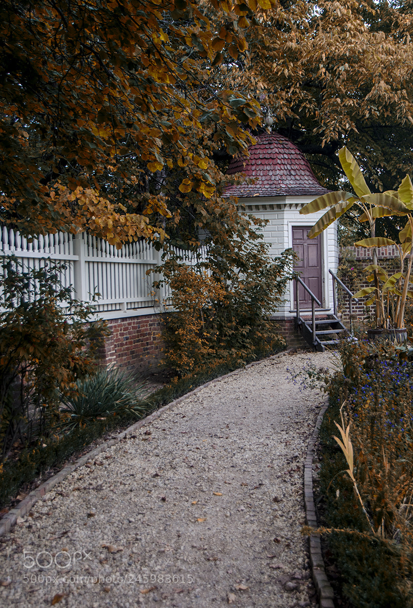 Nikon D5100 sample photo. Fall photography