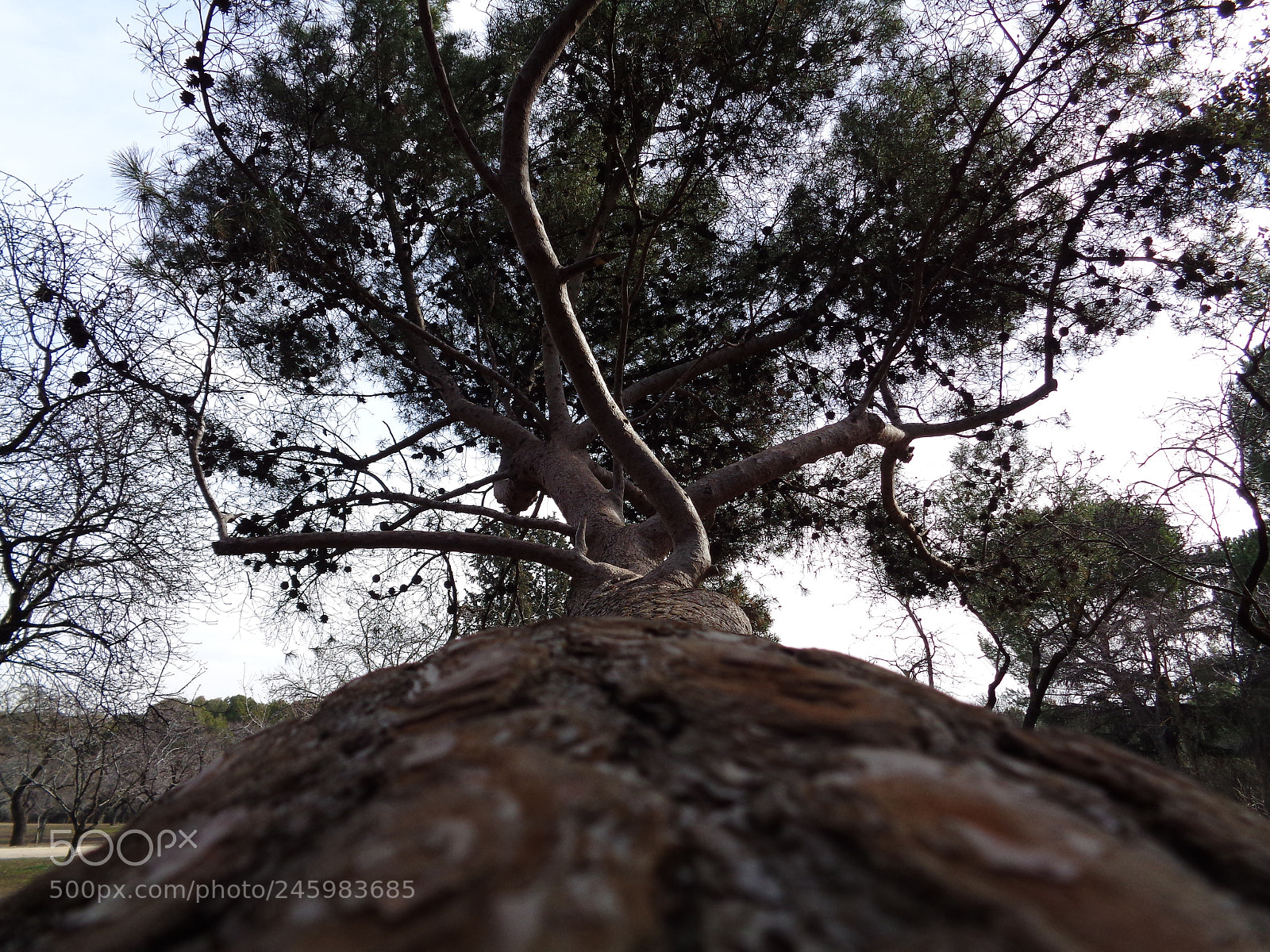 Sony Cyber-shot DSC-W830 sample photo. La quinta de los photography