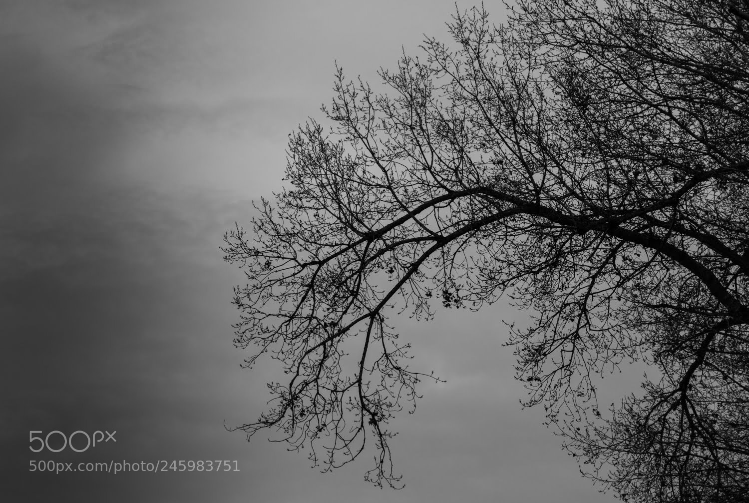 Canon EOS 700D (EOS Rebel T5i / EOS Kiss X7i) sample photo. Winter. lleida. photography