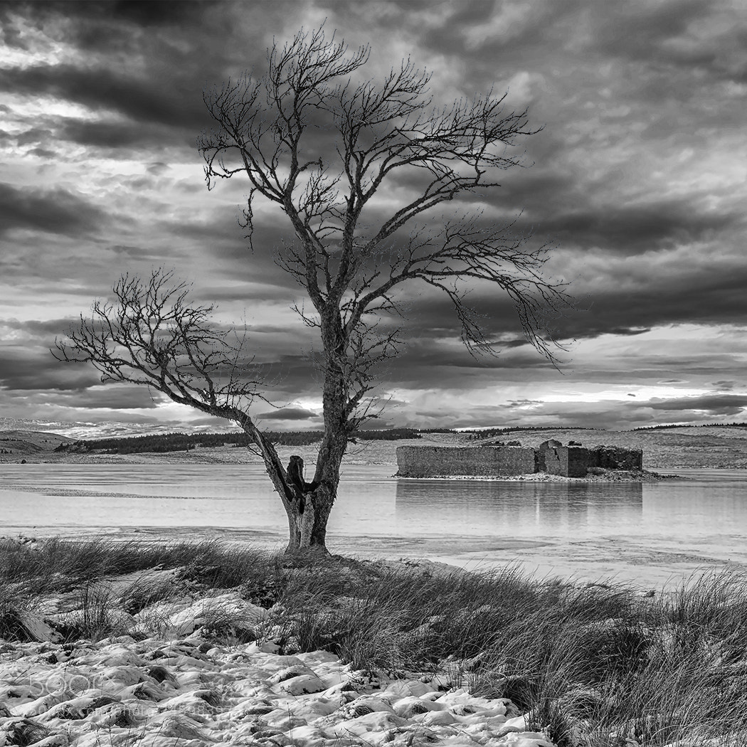 Canon EOS 70D sample photo. Lochindorb castle and tree photography