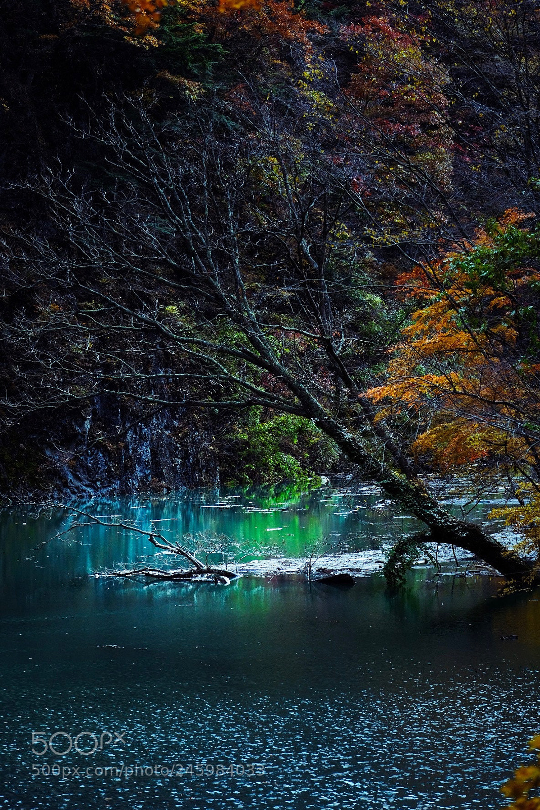 Fujifilm X-T20 sample photo. Still scape. photography