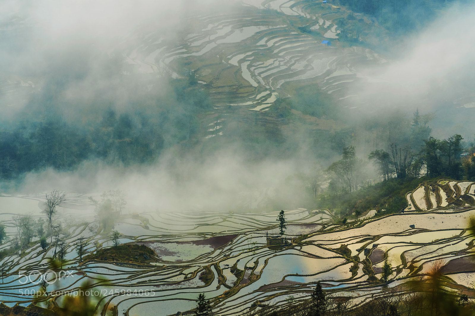 Sony a7R II sample photo. Terrace in the mist photography