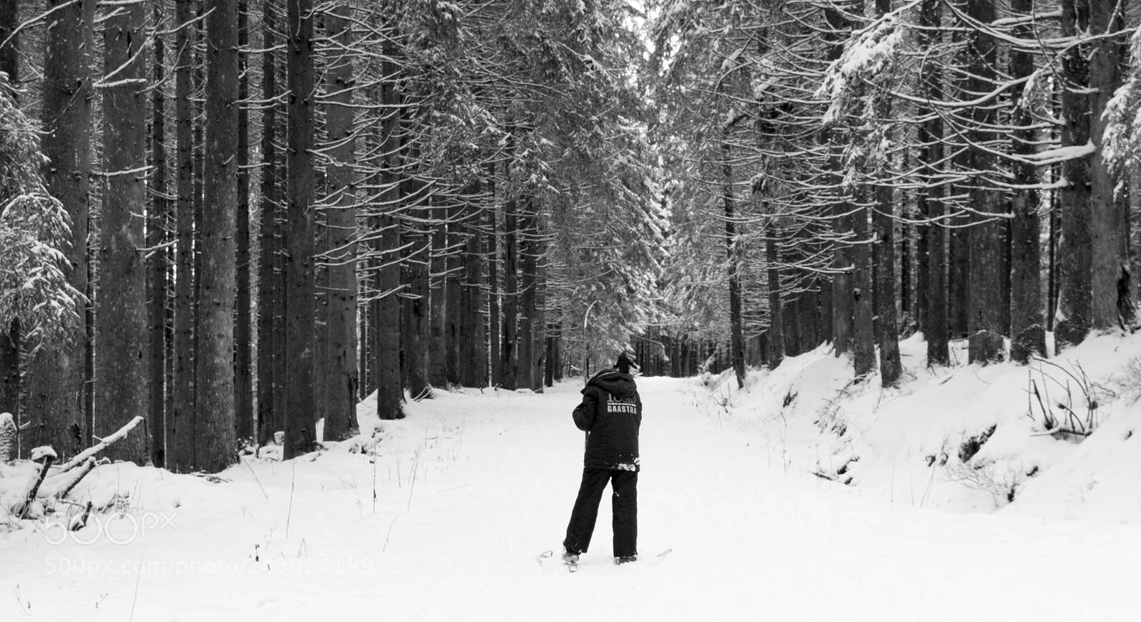 Nikon D300 sample photo. Untitled photography