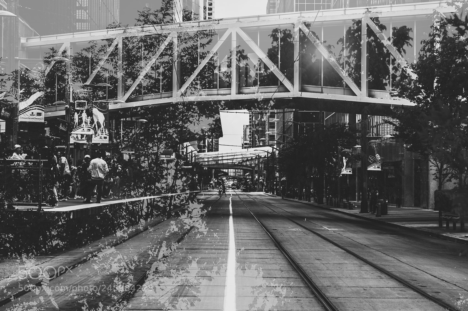 Nikon D5200 sample photo. La vida photography