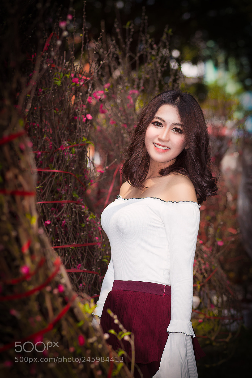 Canon EOS 6D Mark II sample photo. Vietnamese new year photography