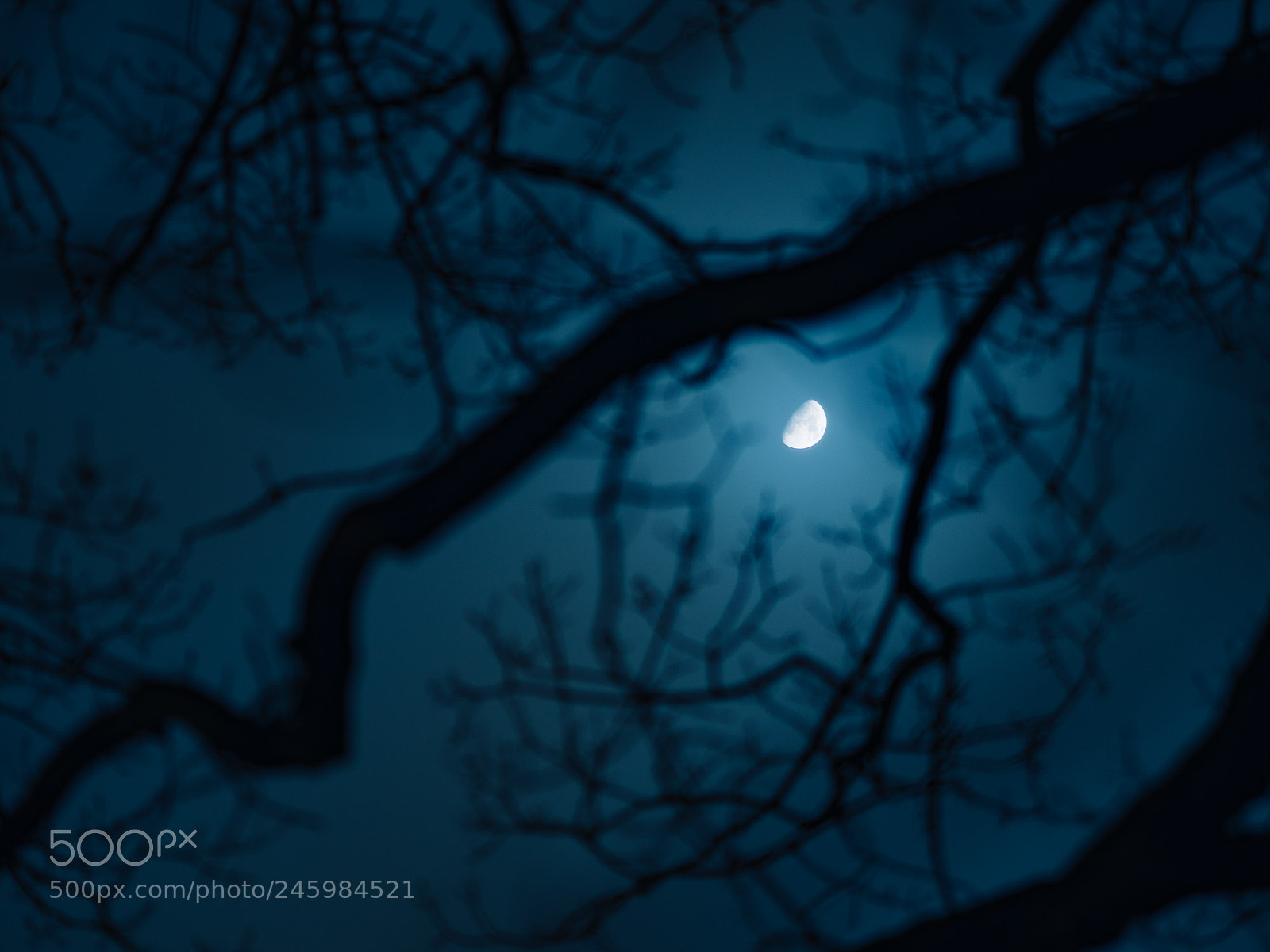 Olympus OM-D E-M10 II sample photo. Moonshine photography