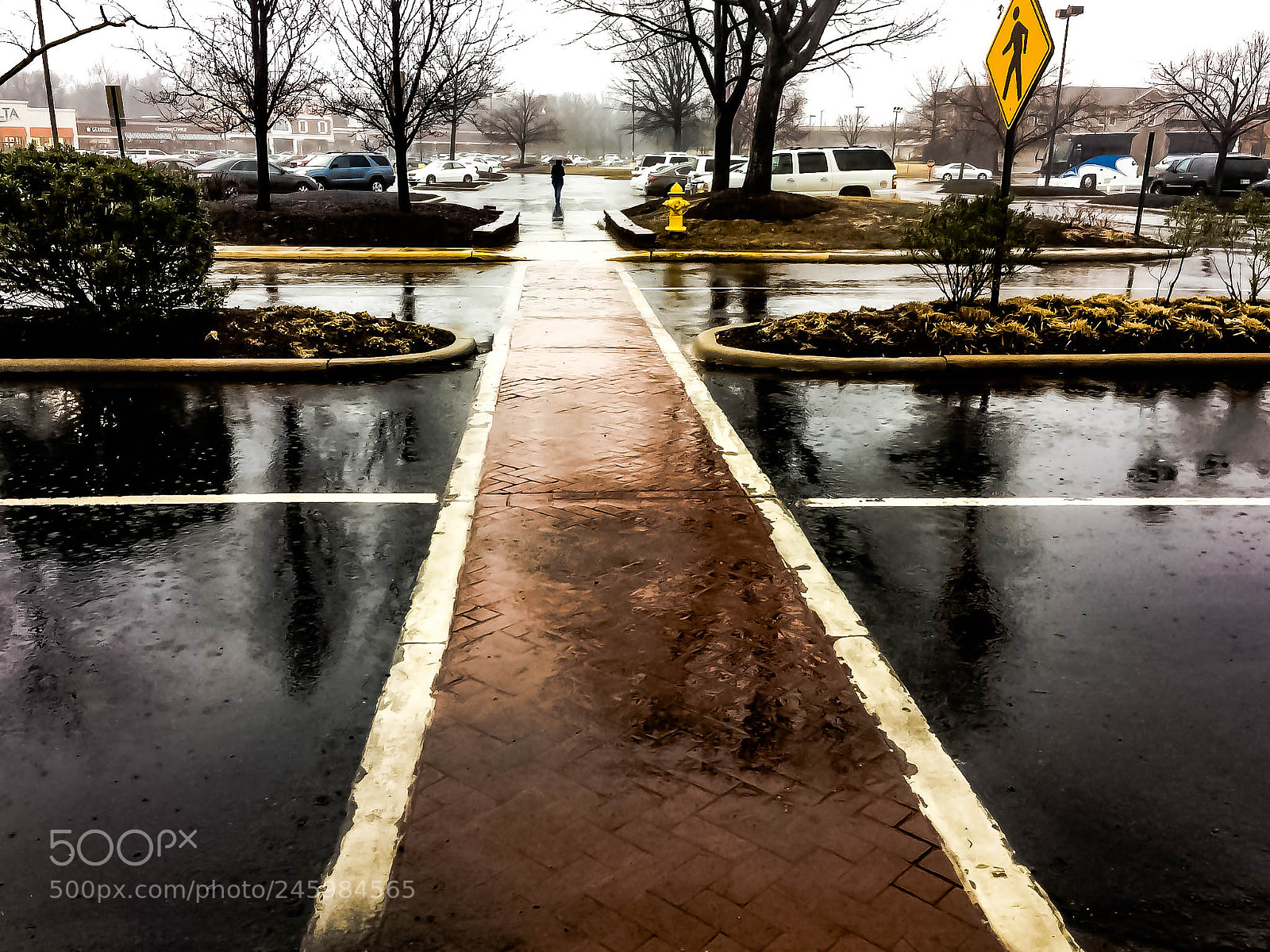 Apple iPhone 5s sample photo. The umbrella photography