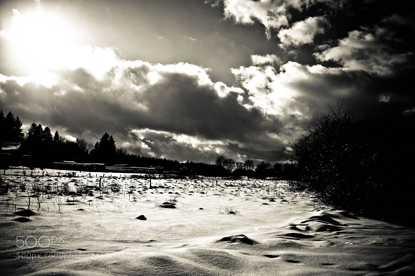 Nikon D300 sample photo. Untitled photography