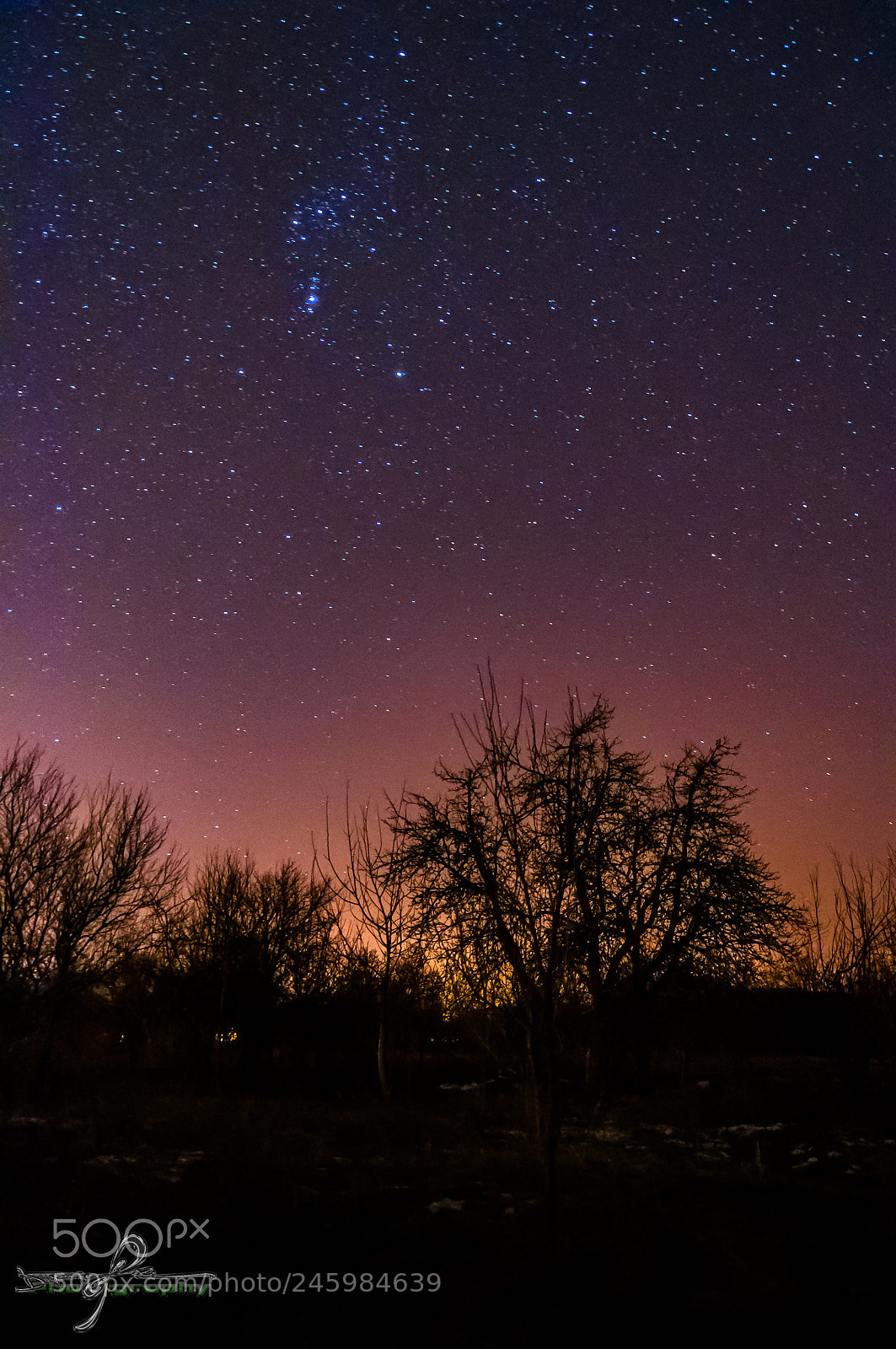 Nikon D90 sample photo. Orion photography