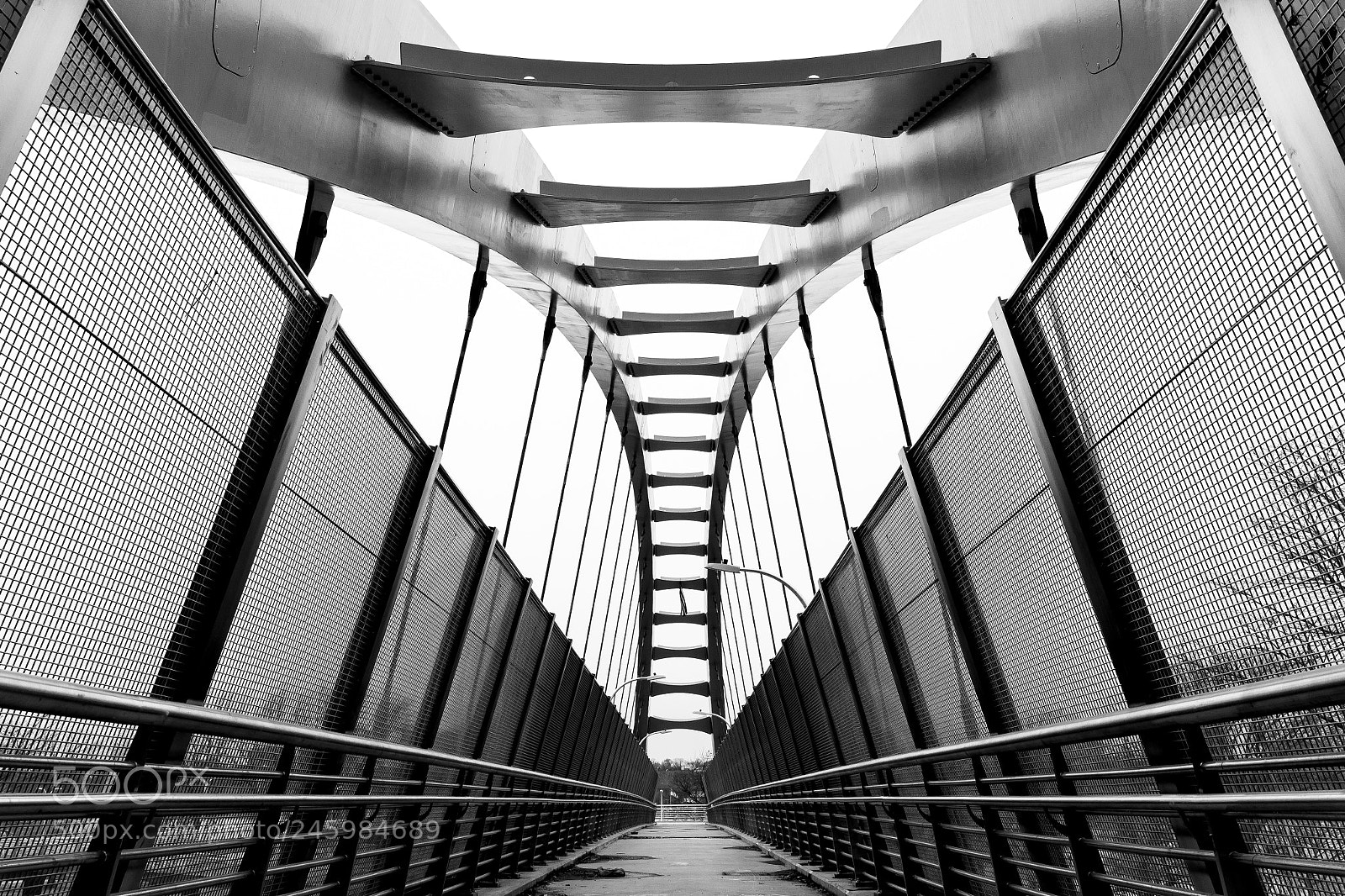 Canon EOS-1D Mark IV sample photo. Bridge photography