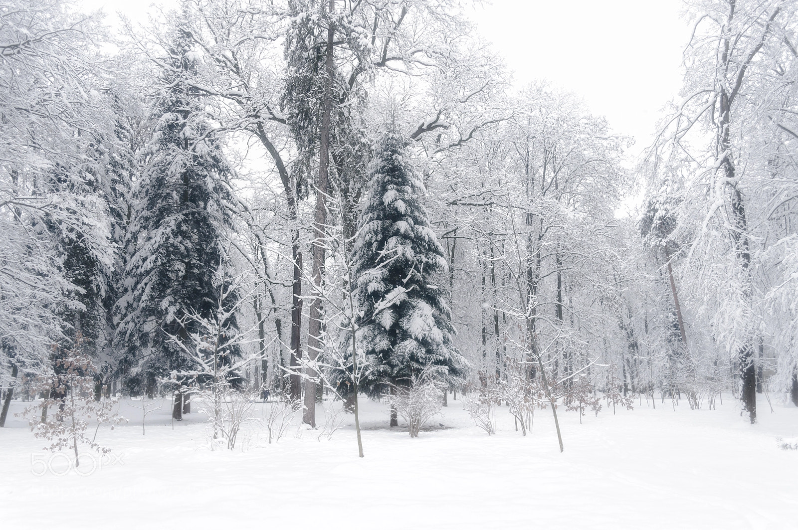 Nikon D5000 sample photo. Edit photography