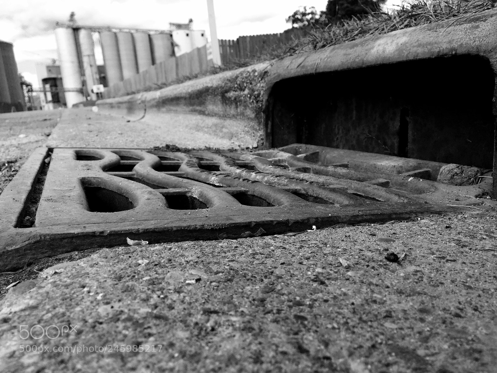 Apple iPhone 6 Plus sample photo. Untitled photography