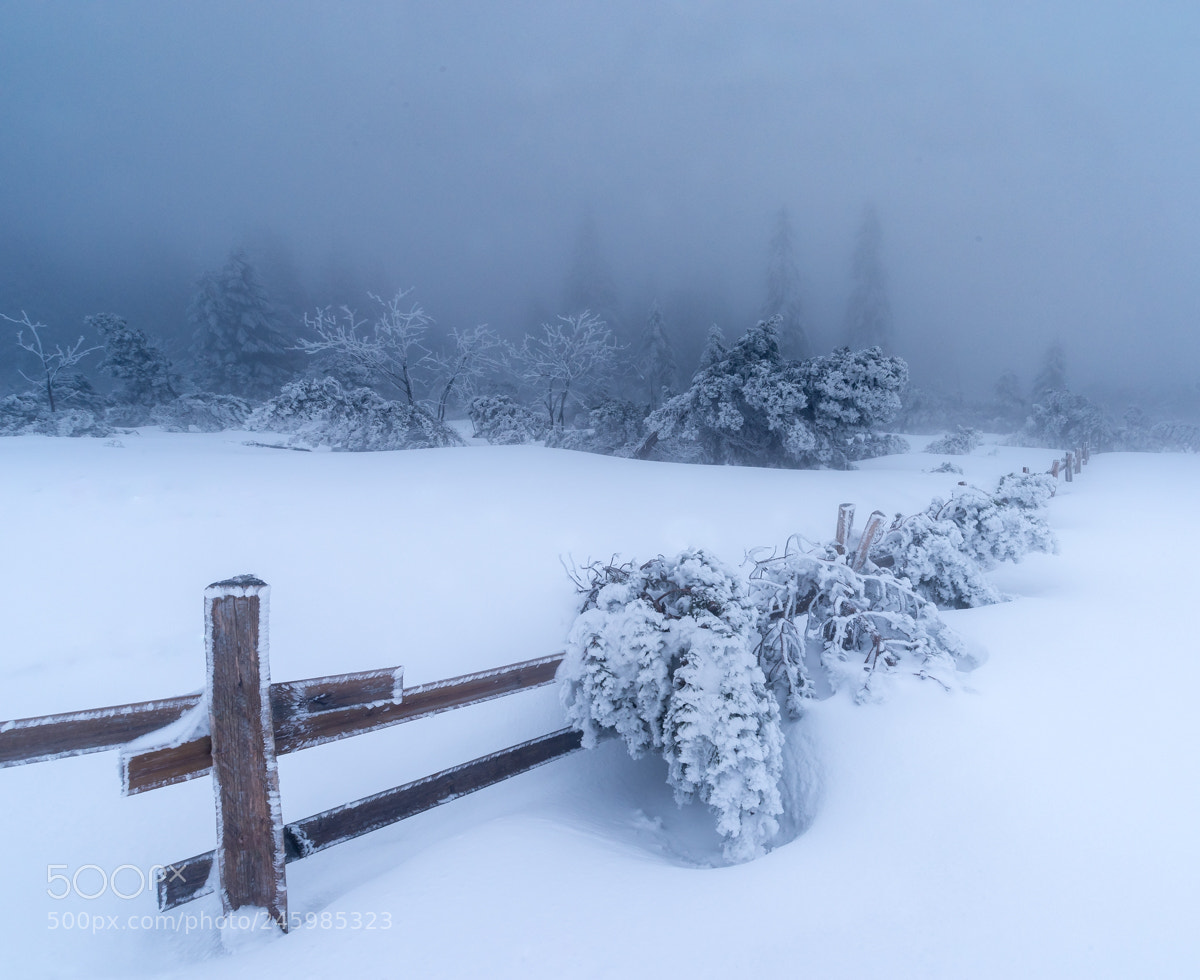 Pentax K-1 sample photo. Schneelandschaft photography