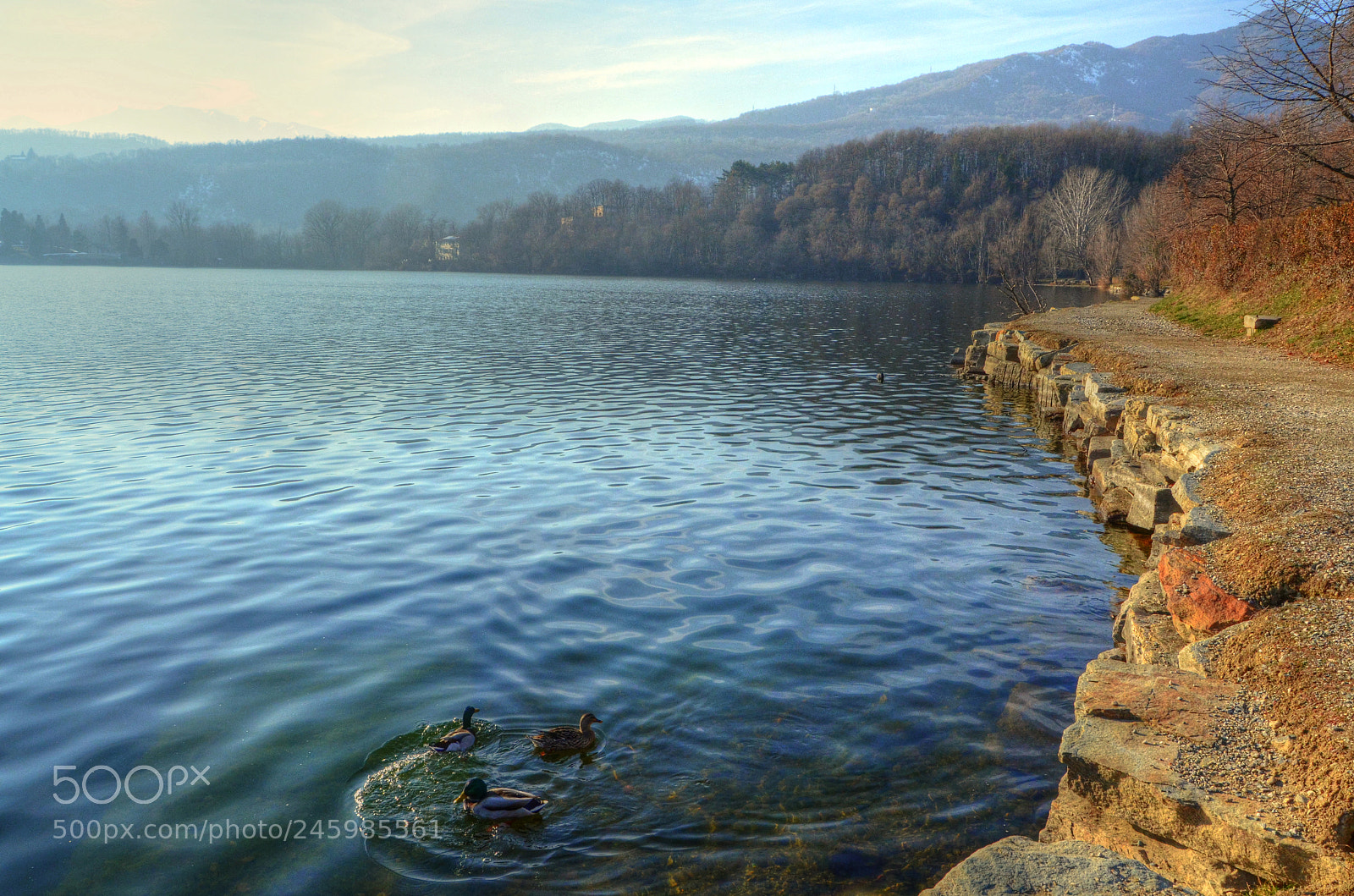 Nikon D5100 sample photo. Relax photography