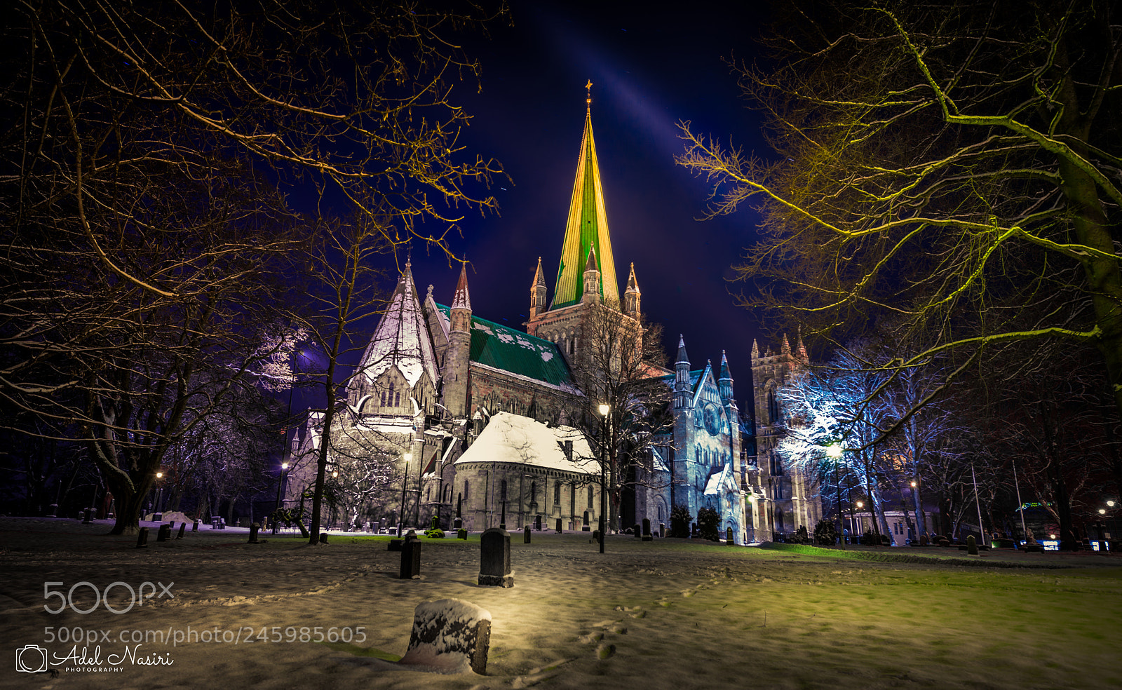 Nikon D800 sample photo. Nidarosdomen trondheim photography