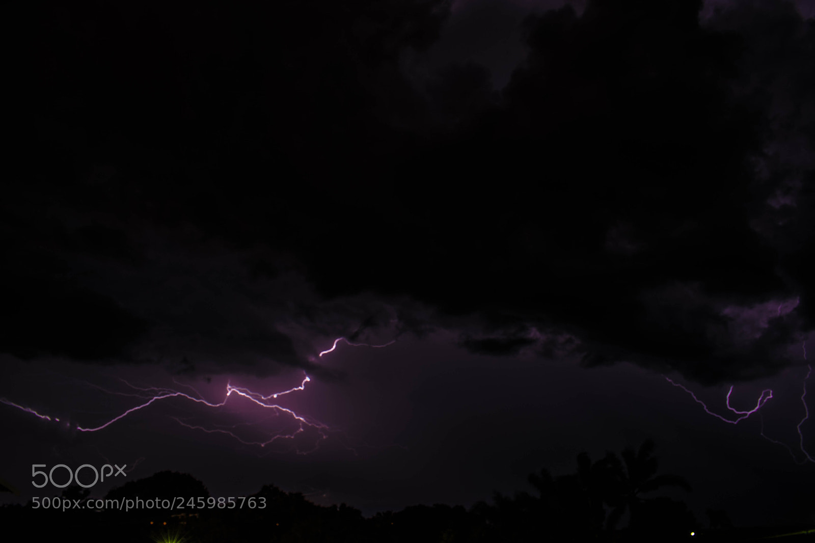 Nikon D5600 sample photo. Purple zap photography