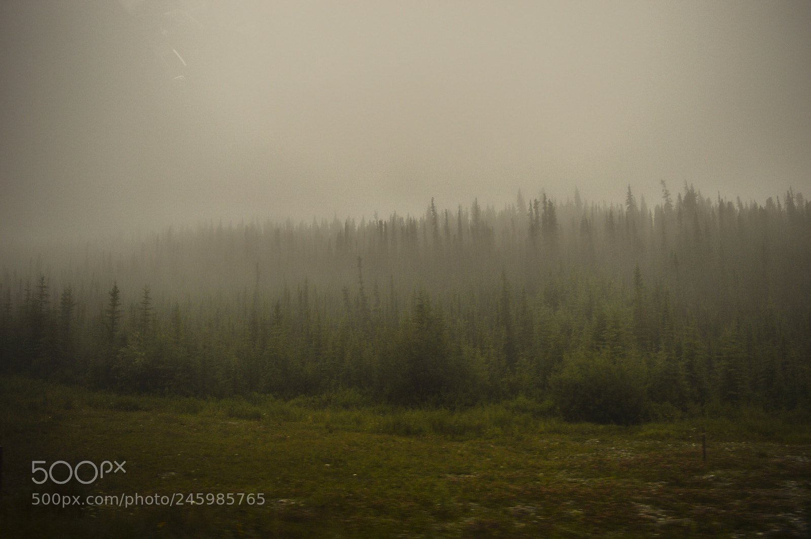 Nikon D3200 sample photo. Driving to the unknown photography