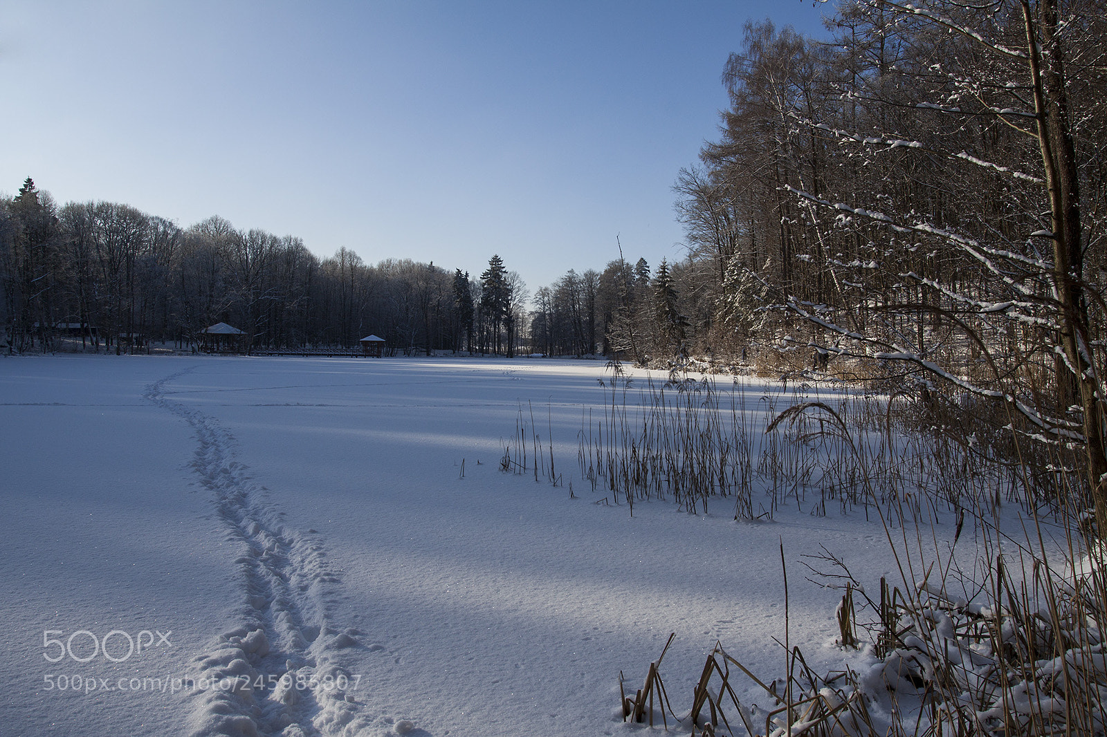 Canon EOS 50D sample photo. Winter photography