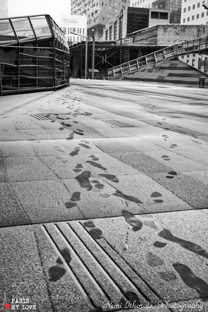 Nikon D850 sample photo. First steps photography