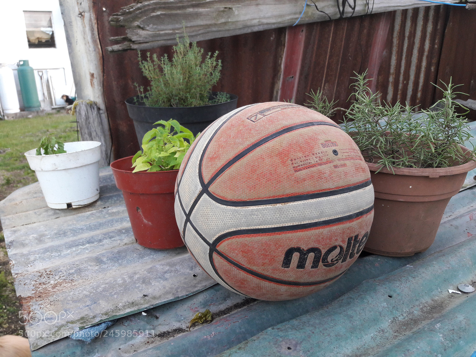 Samsung Galaxy J7 sample photo. 20180212_063202.jpg photography