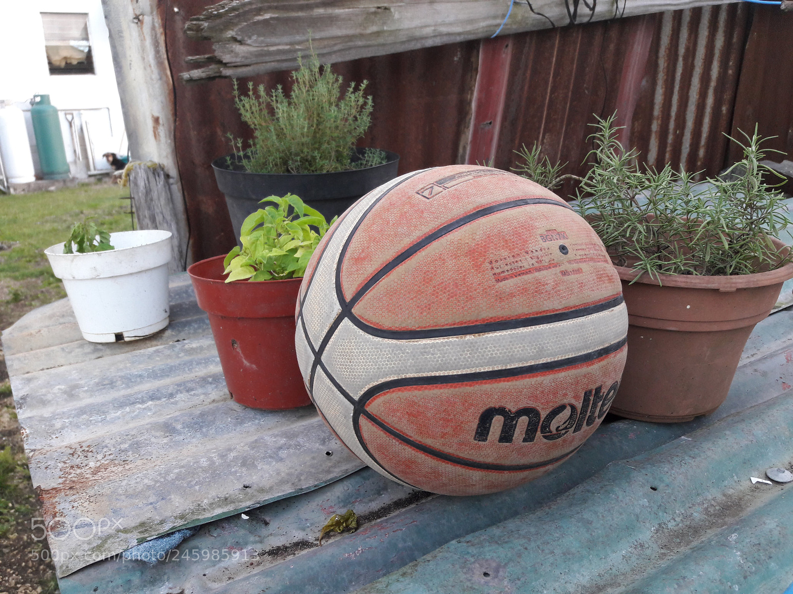 Samsung Galaxy J7 sample photo. 20180212_063200.jpg photography