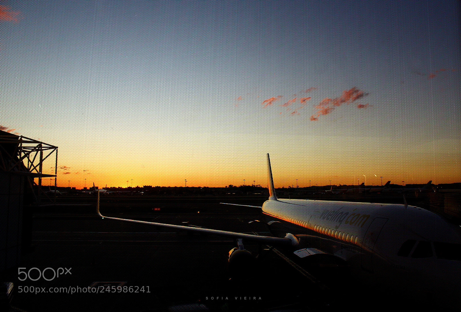 Canon EOS 600D (Rebel EOS T3i / EOS Kiss X5) sample photo. Airplane at sunset photography