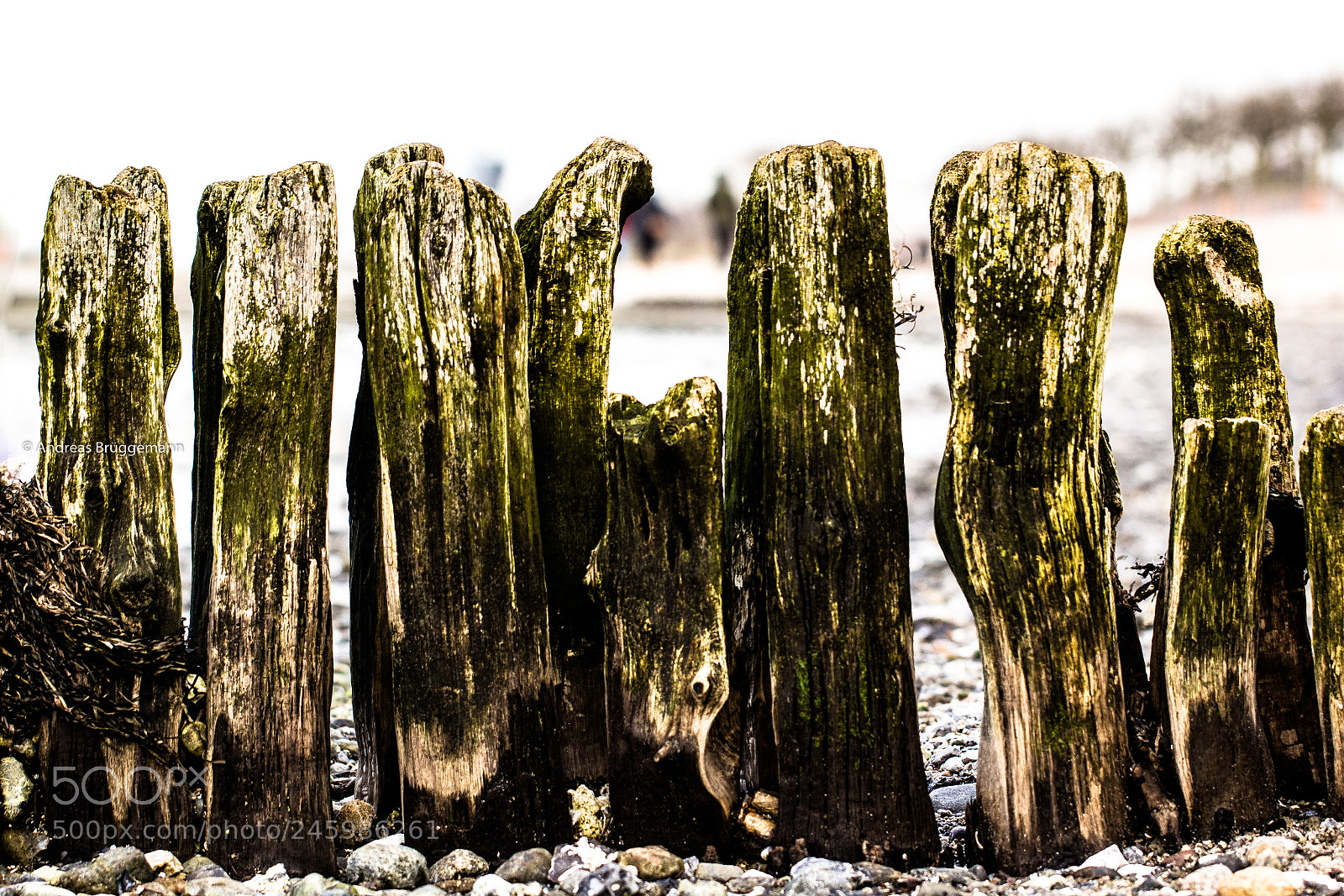 Canon EOS 60D sample photo. Küstenmotive_2 photography