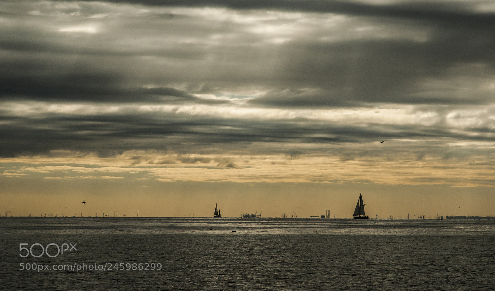 Pentax K10D sample photo. Sailing photography