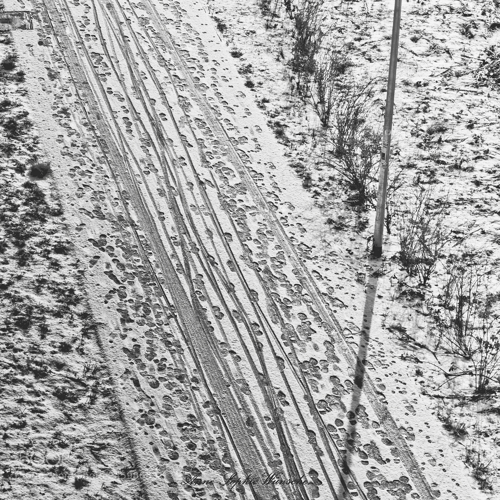 Canon EOS 700D (EOS Rebel T5i / EOS Kiss X7i) sample photo. Spuren im schnee photography
