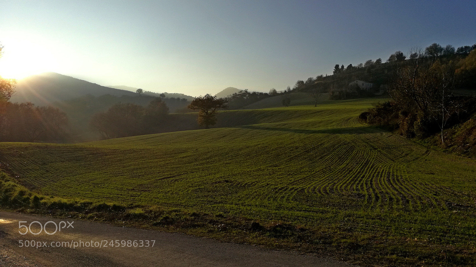 HUAWEI P9 LITE sample photo. Nature pics photography
