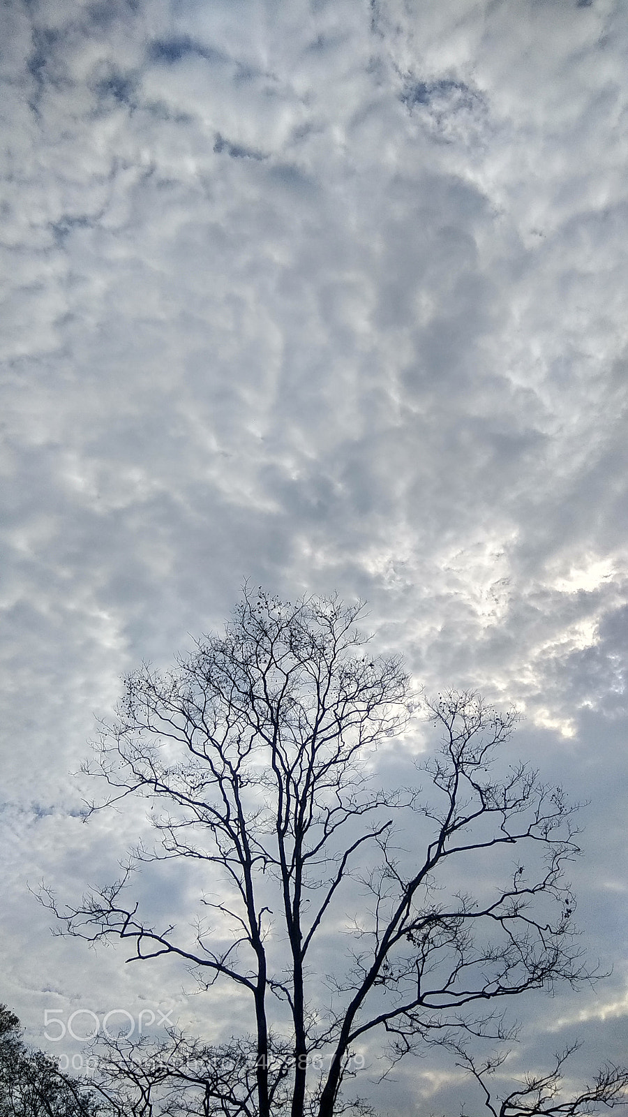 Xiaomi Redmi Note 4 sample photo. Untitled photography