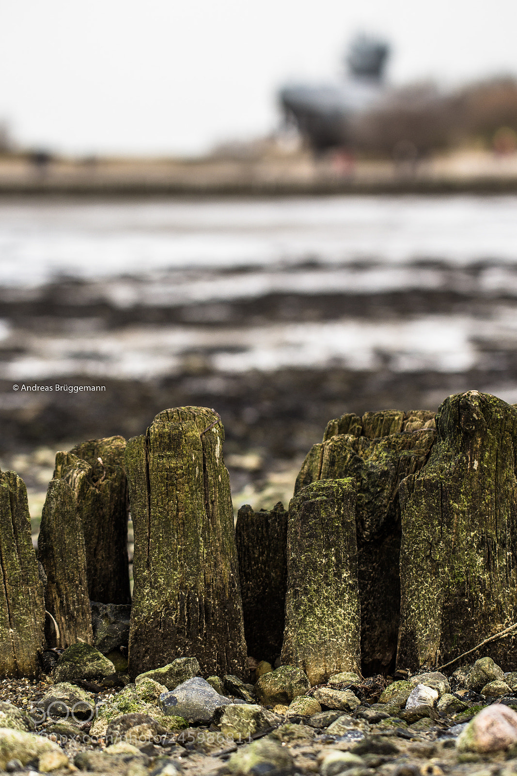 Canon EOS 60D sample photo. Where i live_003 photography