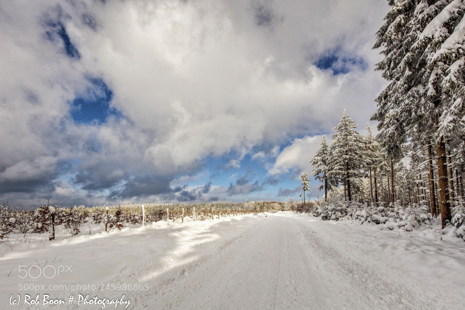 Canon EOS 5DS sample photo. Winter @ botrange 2 photography