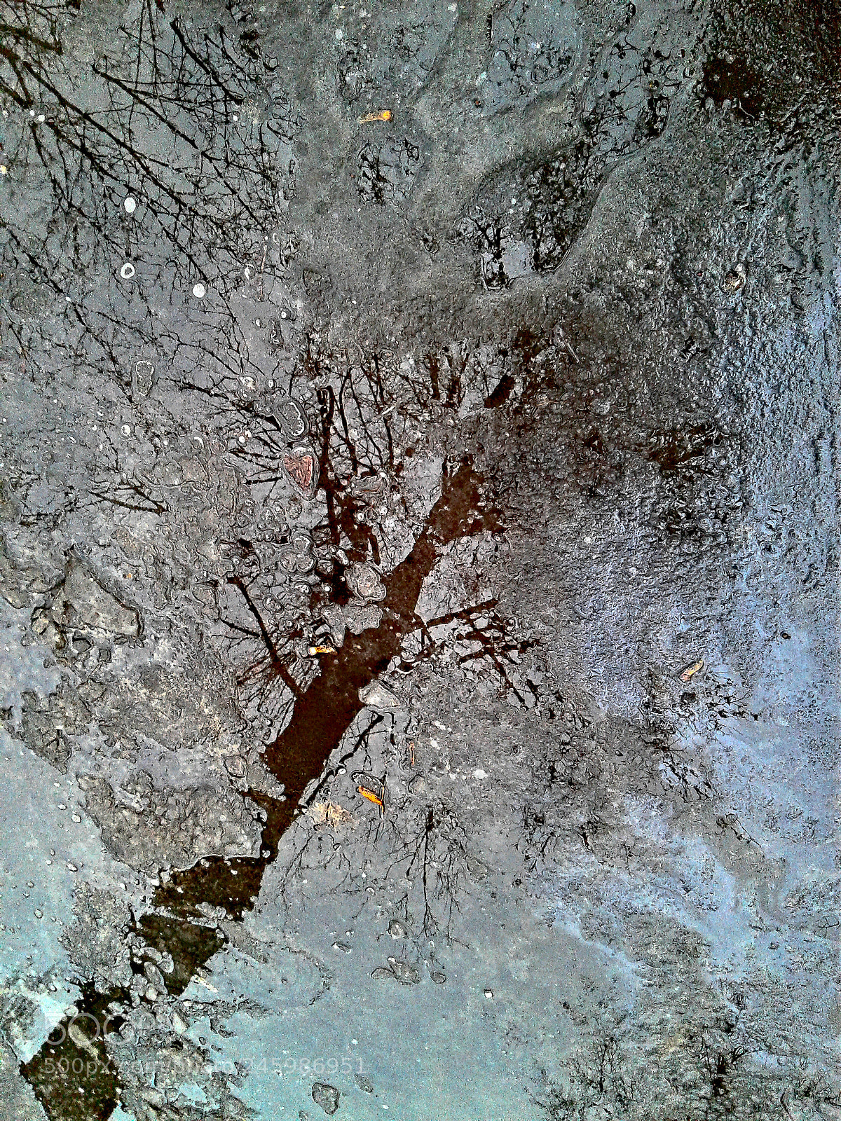 Samsung Galaxy J1 sample photo. Wintertime reflectionf photography