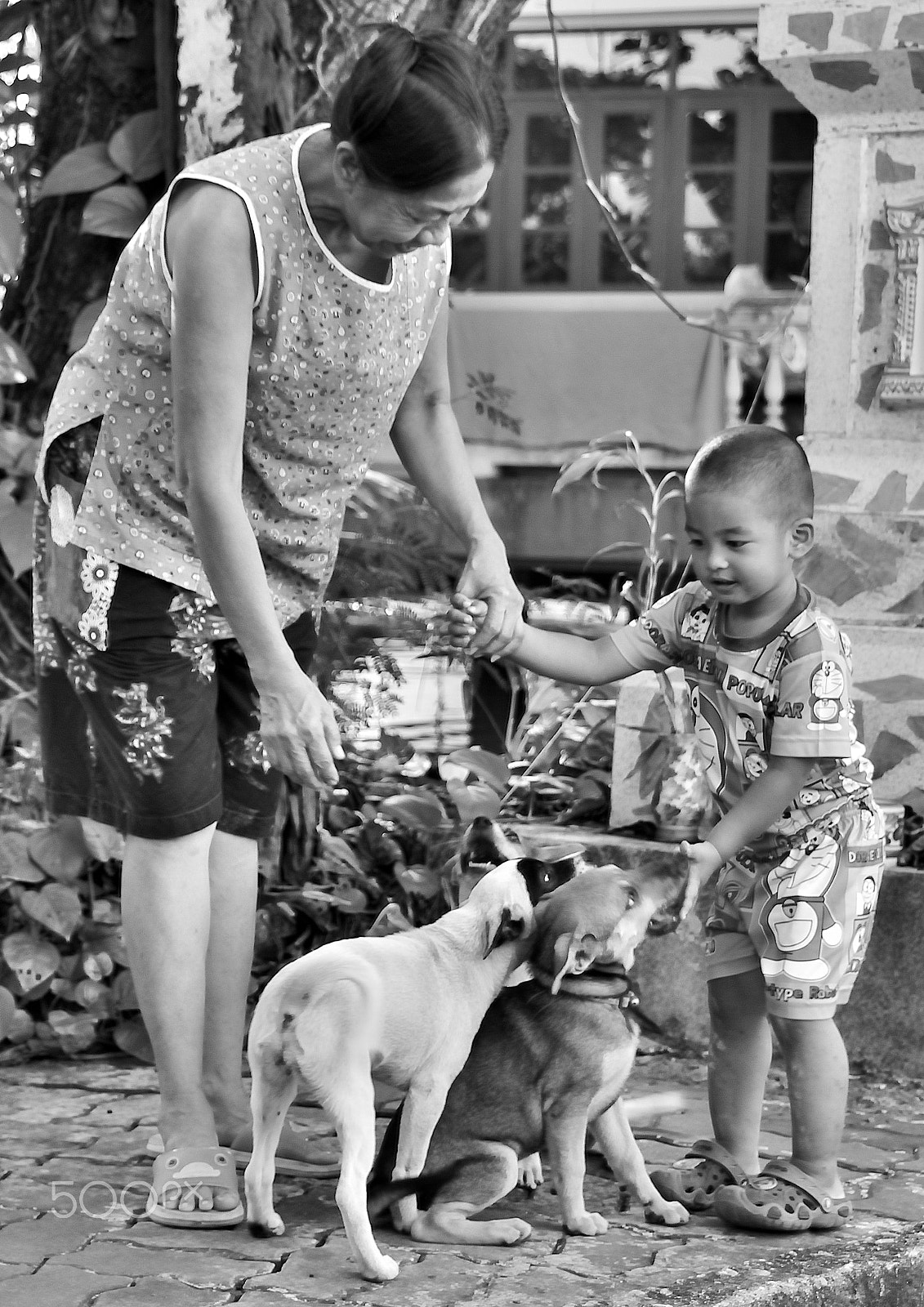 Nikon D7200 sample photo. Dogs, best friends. photography
