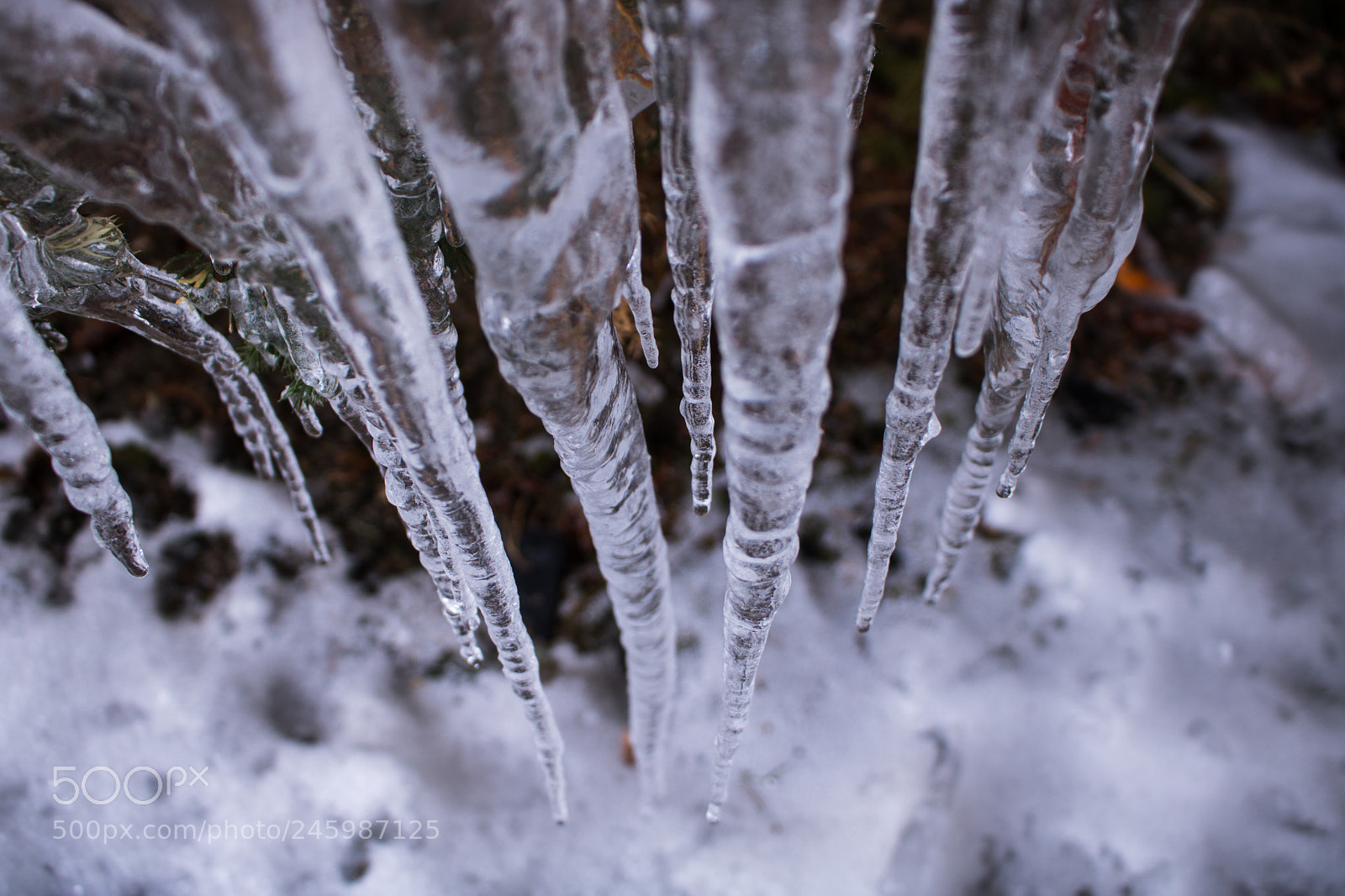Canon EOS 750D (EOS Rebel T6i / EOS Kiss X8i) sample photo. Sharp ice photography