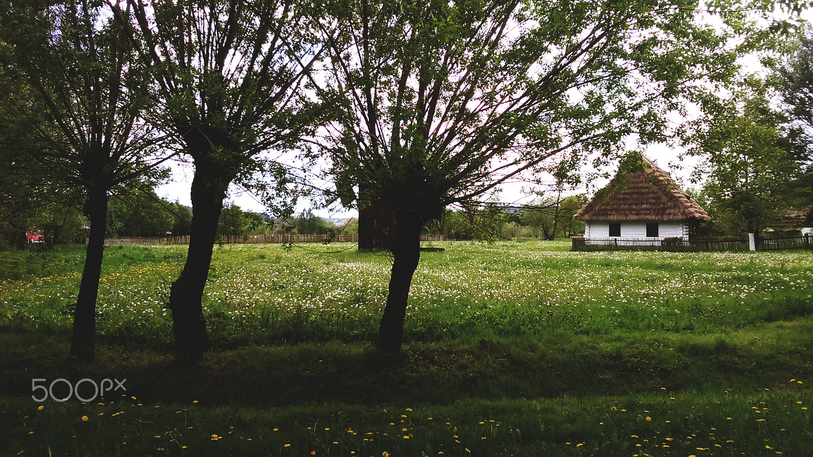 Sony Xperia M2 sample photo. Three mothers photography