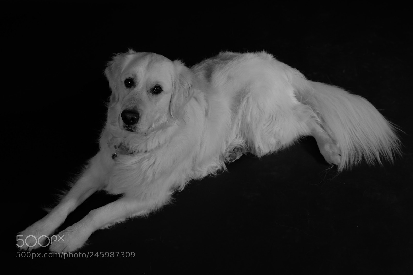 Fujifilm X-T1 sample photo. Dscf2023-2.jpg photography