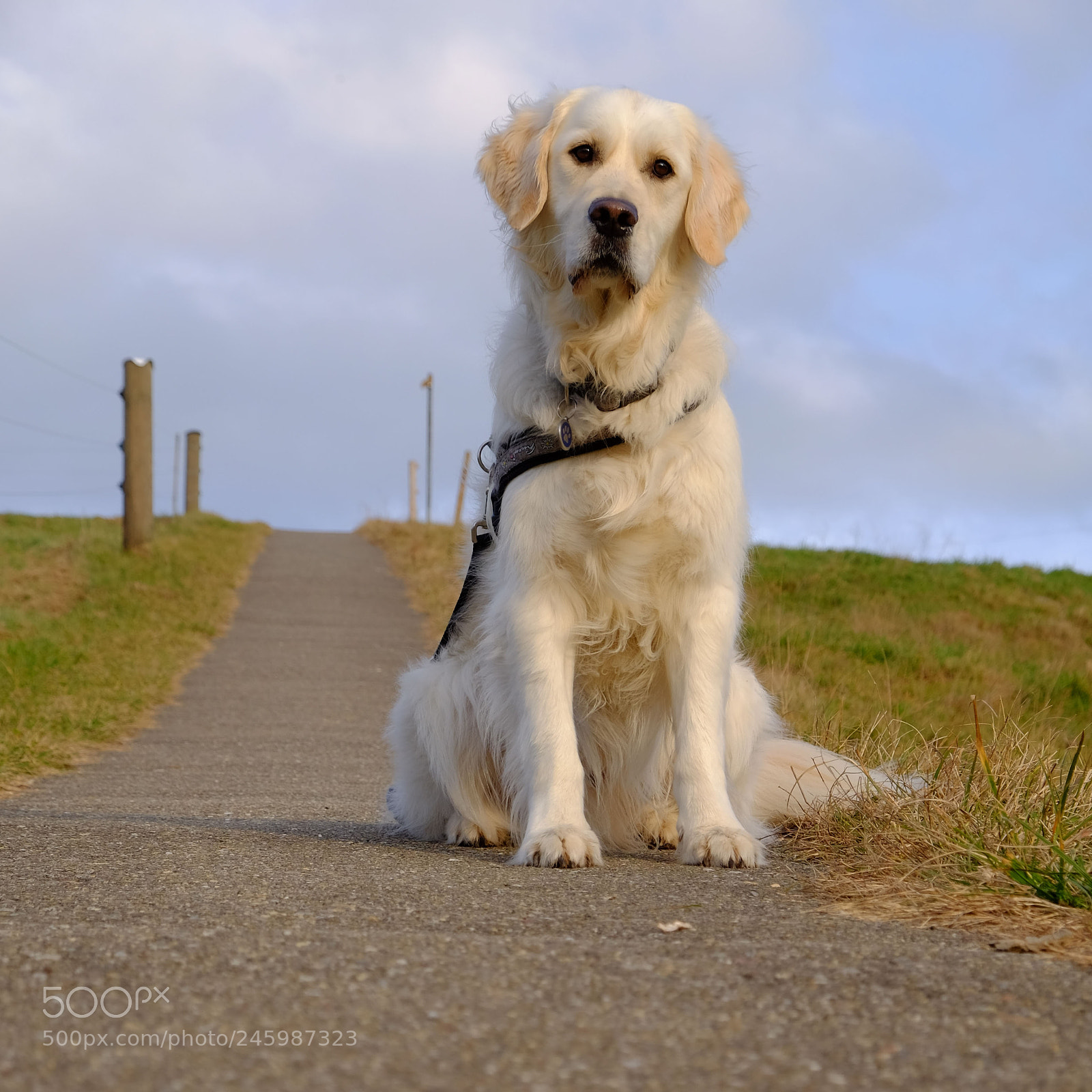 Fujifilm X-T1 sample photo. Dscf2117-2.jpg photography