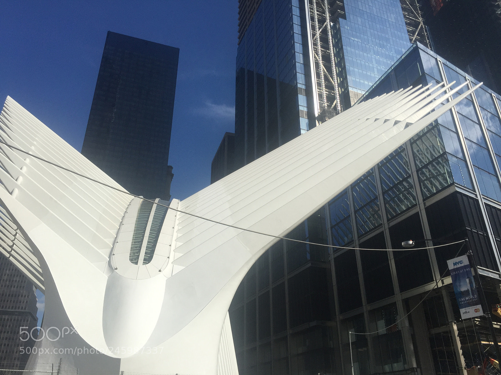 Apple iPhone 6 Plus sample photo. Img photography
