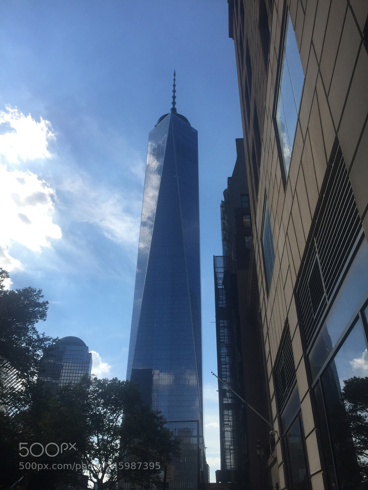 Apple iPhone 6 Plus sample photo. Img photography