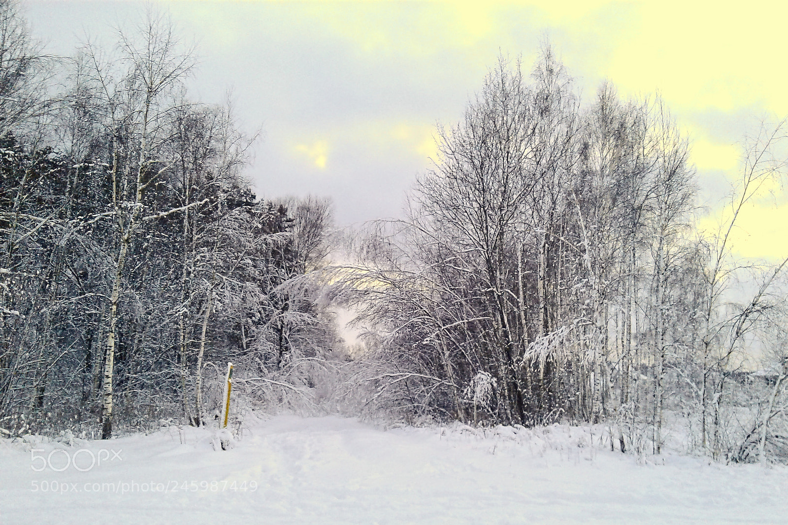Samsung Galaxy J1 sample photo. White winter photography