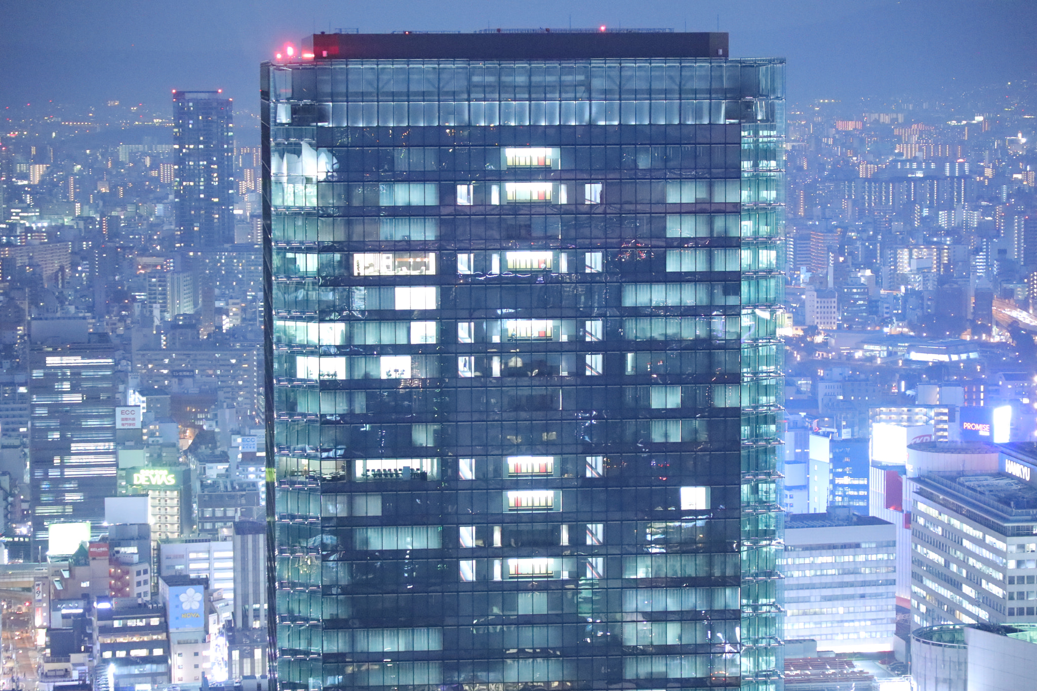 Canon EF 24-105mm F4L IS II USM sample photo