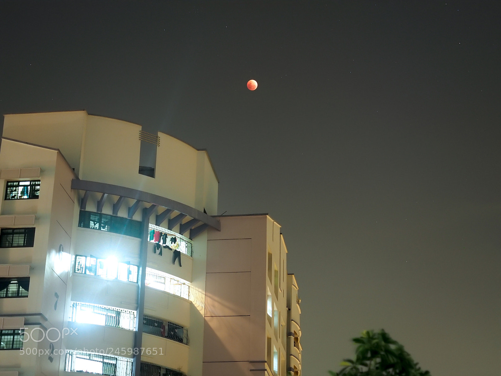 Olympus OM-D E-M5 II sample photo. Bad moon rising photography