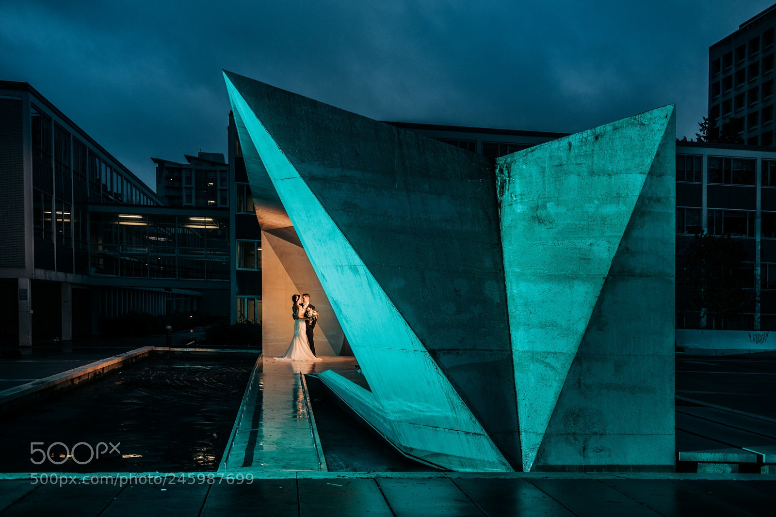 Nikon D850 sample photo. Untitled photography