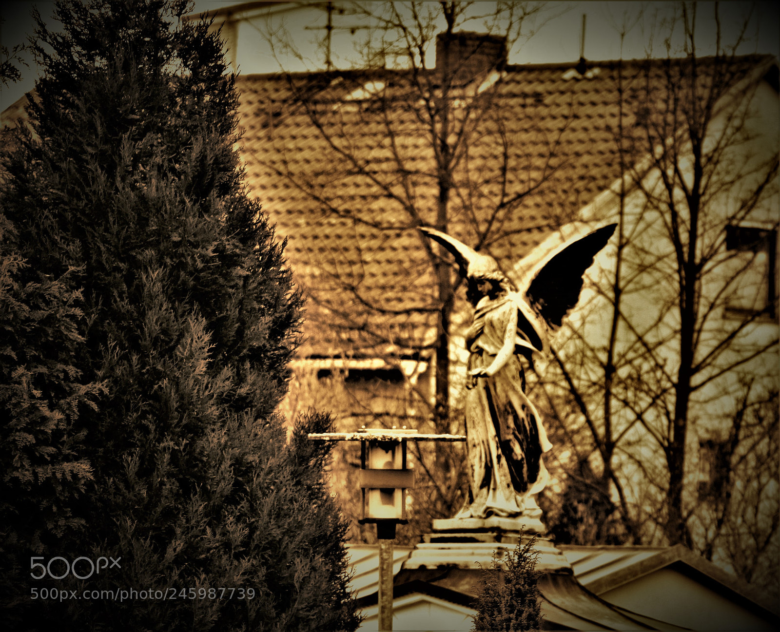 Canon EOS 1000D (EOS Digital Rebel XS / EOS Kiss F) sample photo. Lone angel.... photography