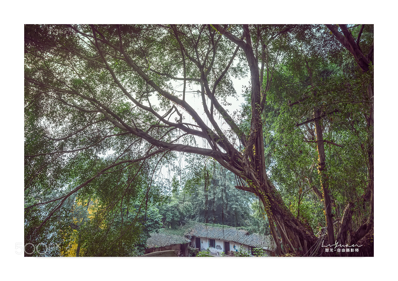 Sony a7 II sample photo. Untitled photography