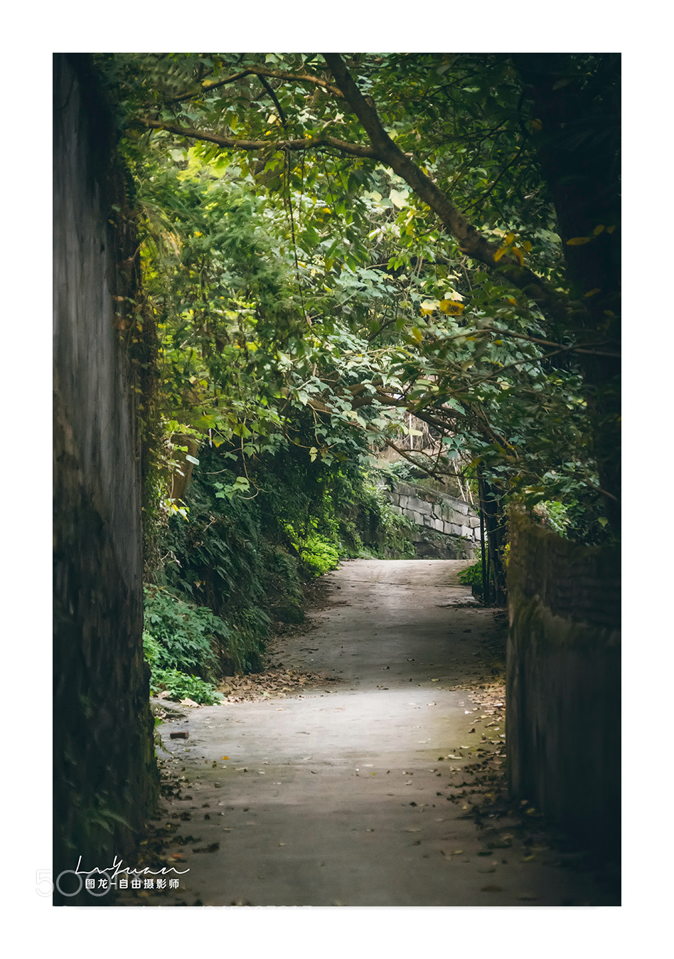 Sony a7 II sample photo. Untitled photography