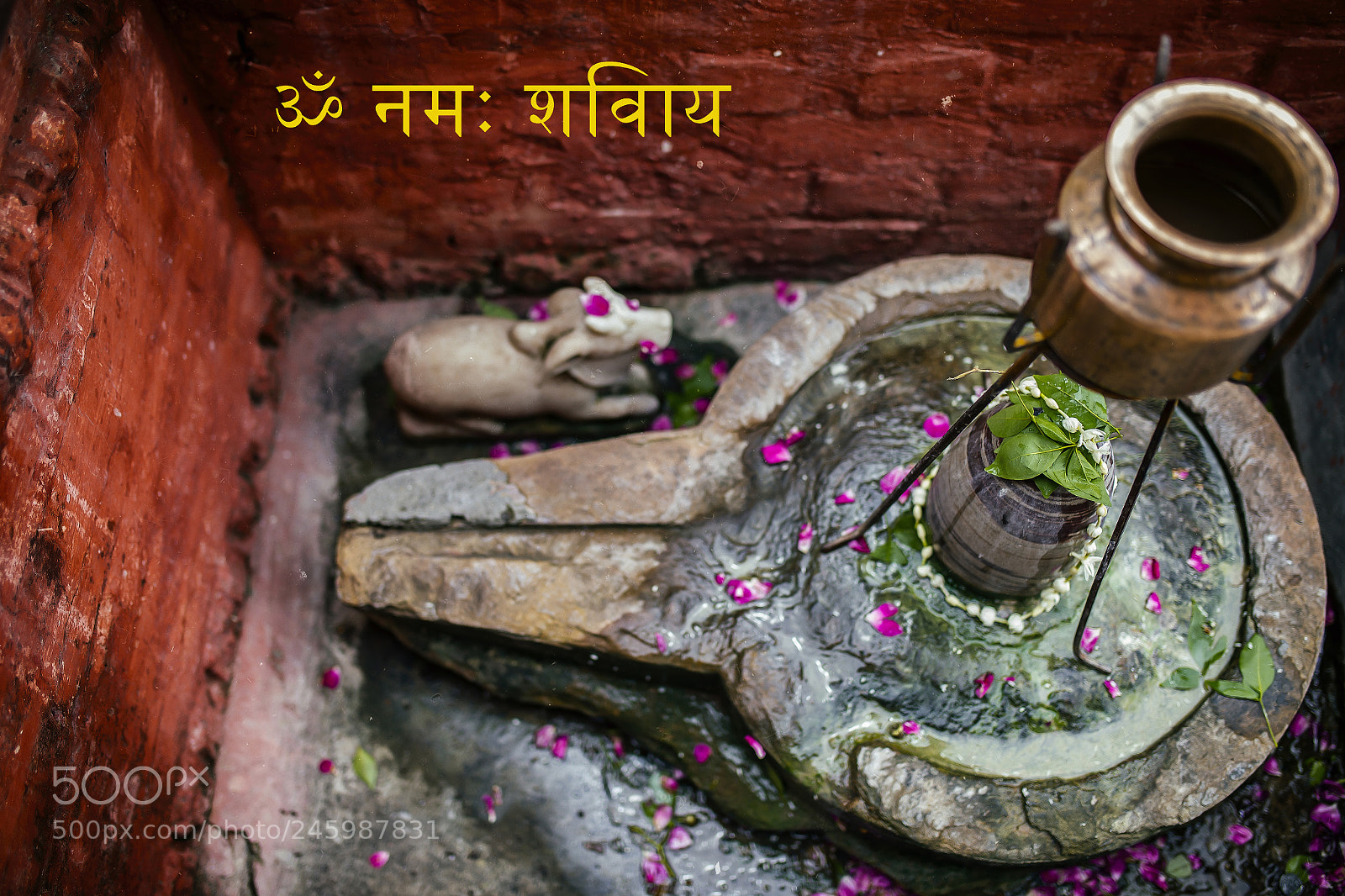 Canon EOS-1D X sample photo. “ॐ नमः शिवाय” photography